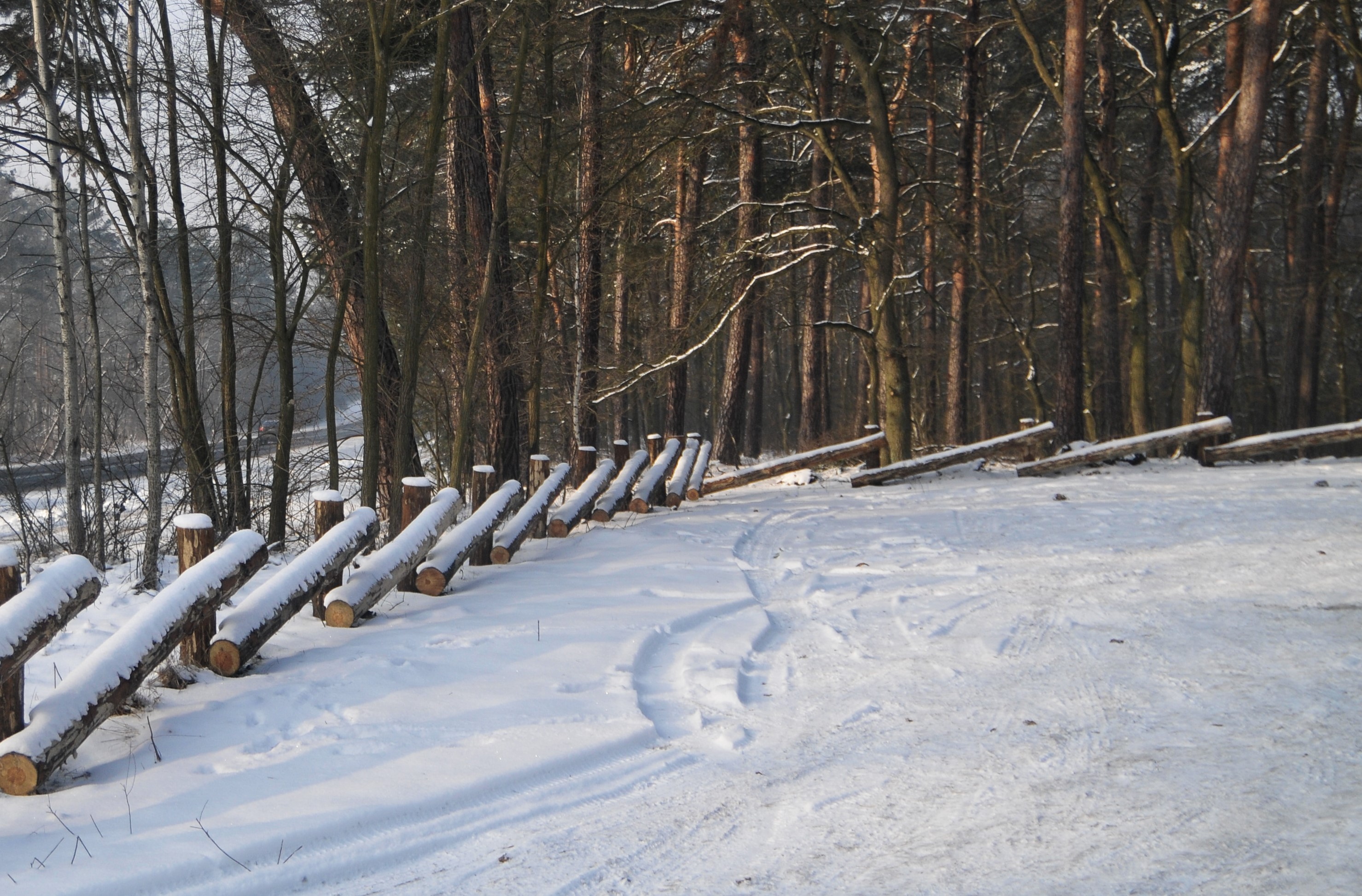 Fragment zaśnieżonej drogi przy lesie Fragment zaśnieżonej drogi przy lesie